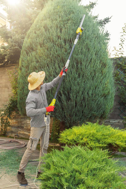 Best Lawn Grading and Leveling  in Cutler Bay, FL